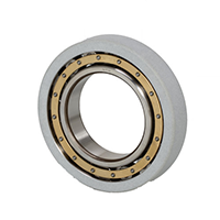 Megaohm Cylindrical Roller Bearings