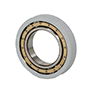 Megaohm Cylindrical Roller Bearings
