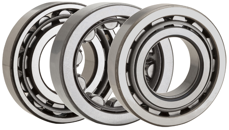 ISO Series Single Row Cylindrical Roller Bearings On NTN Bearing