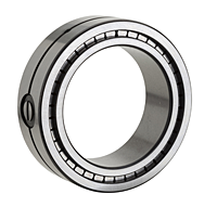 Item # SL02-4936, Double Row Cylindrical Roller Bearing w/ Free 