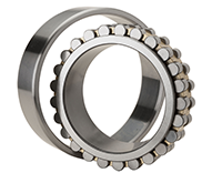 Double-Row-Cylindrical-Roller-Bearing-Cylindrical-Bore-Type-NN