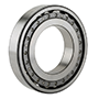 Cylindrical-Roller-Bearing-Inner-Ring-Two-Ribs-Separable-Plain-Outer-Ring