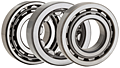 ISO Series Single Row Cylindrical Roller Bearings